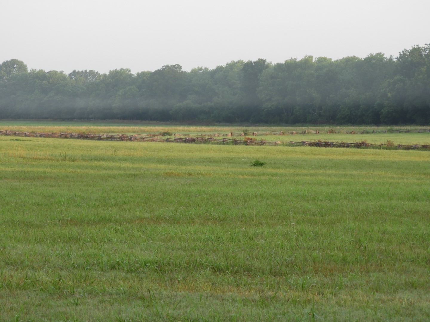 Pea Ridge National Battlefield near Garfield AR  7 of 11 (#5240)