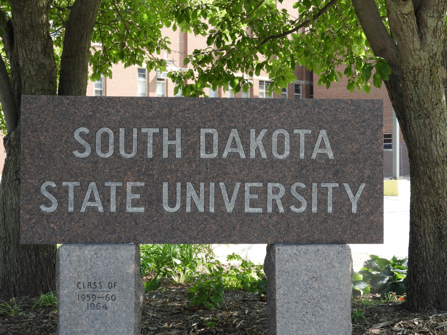 South Dakota State University in Brookings  3 of  4 (#5331)