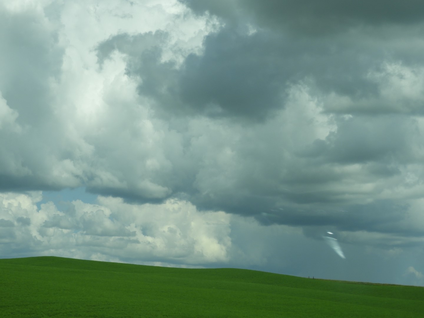 Along Highway in Northeastern South Dakota  3 of 12 (#5335)