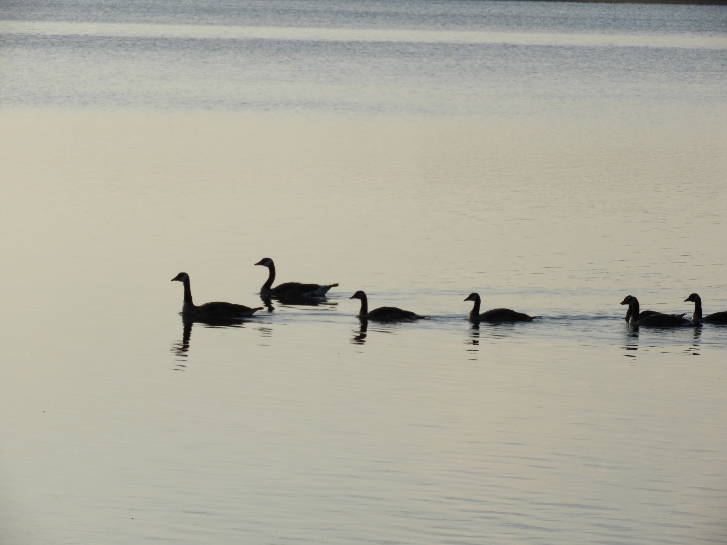 Bemidji MN -- Lake Bemidji  2 of  8 (#5367)