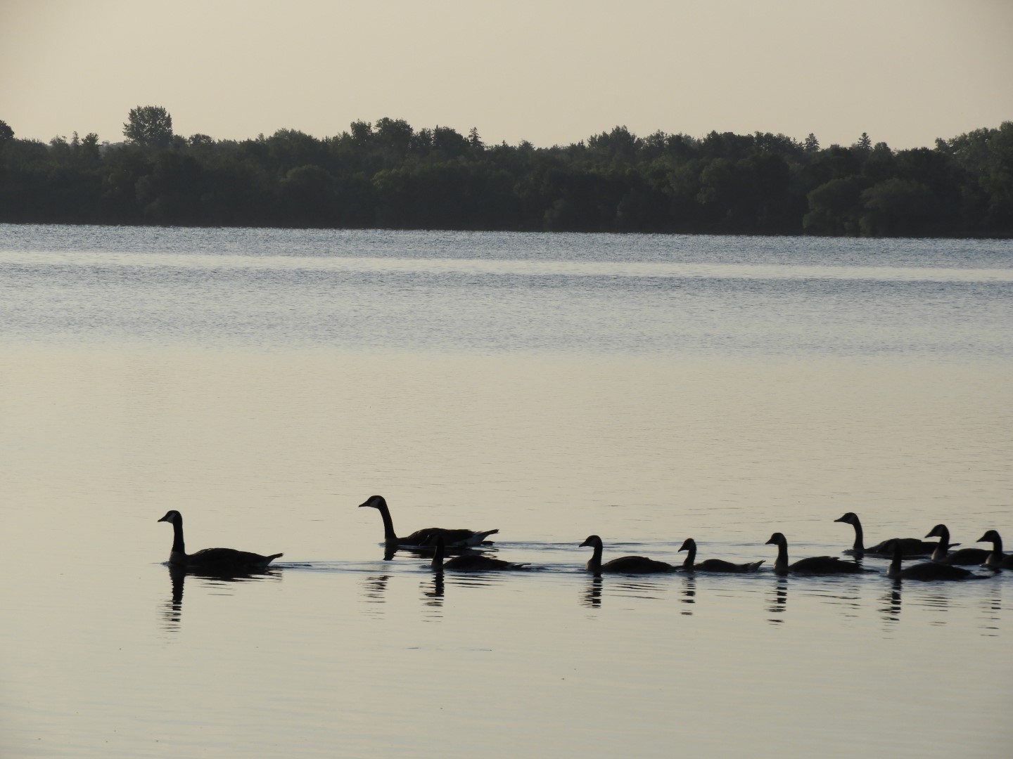 Bemidji MN -- Lake Bemidji  3 of  8 (#5368)