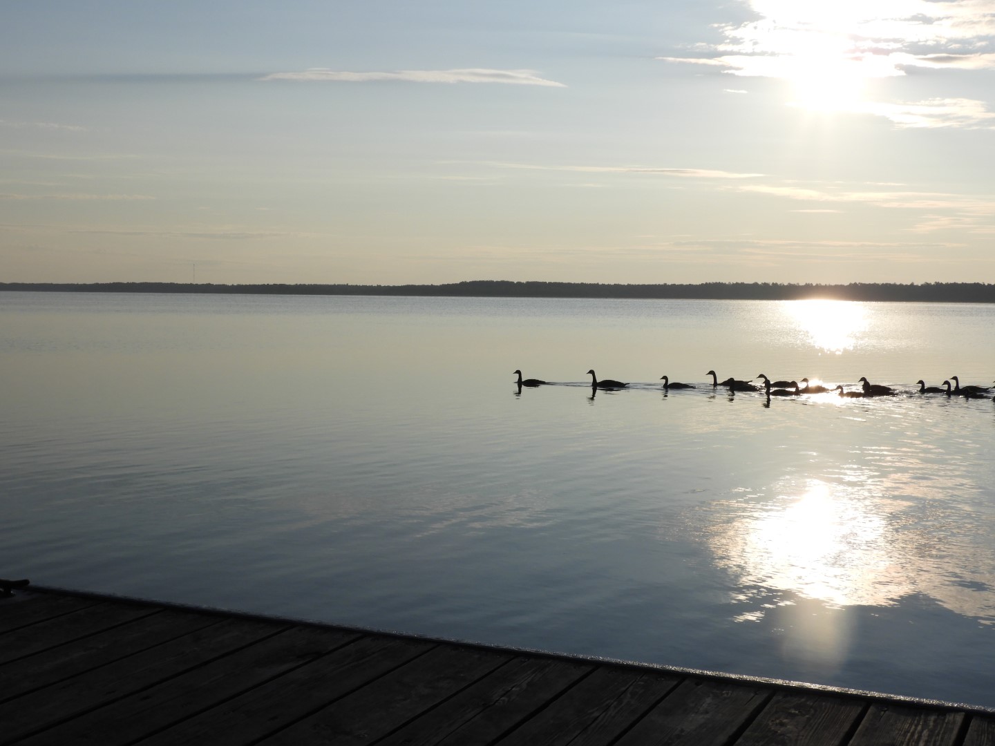 Bemidji MN -- Lake Bemidji  7 of  8 (#5372)