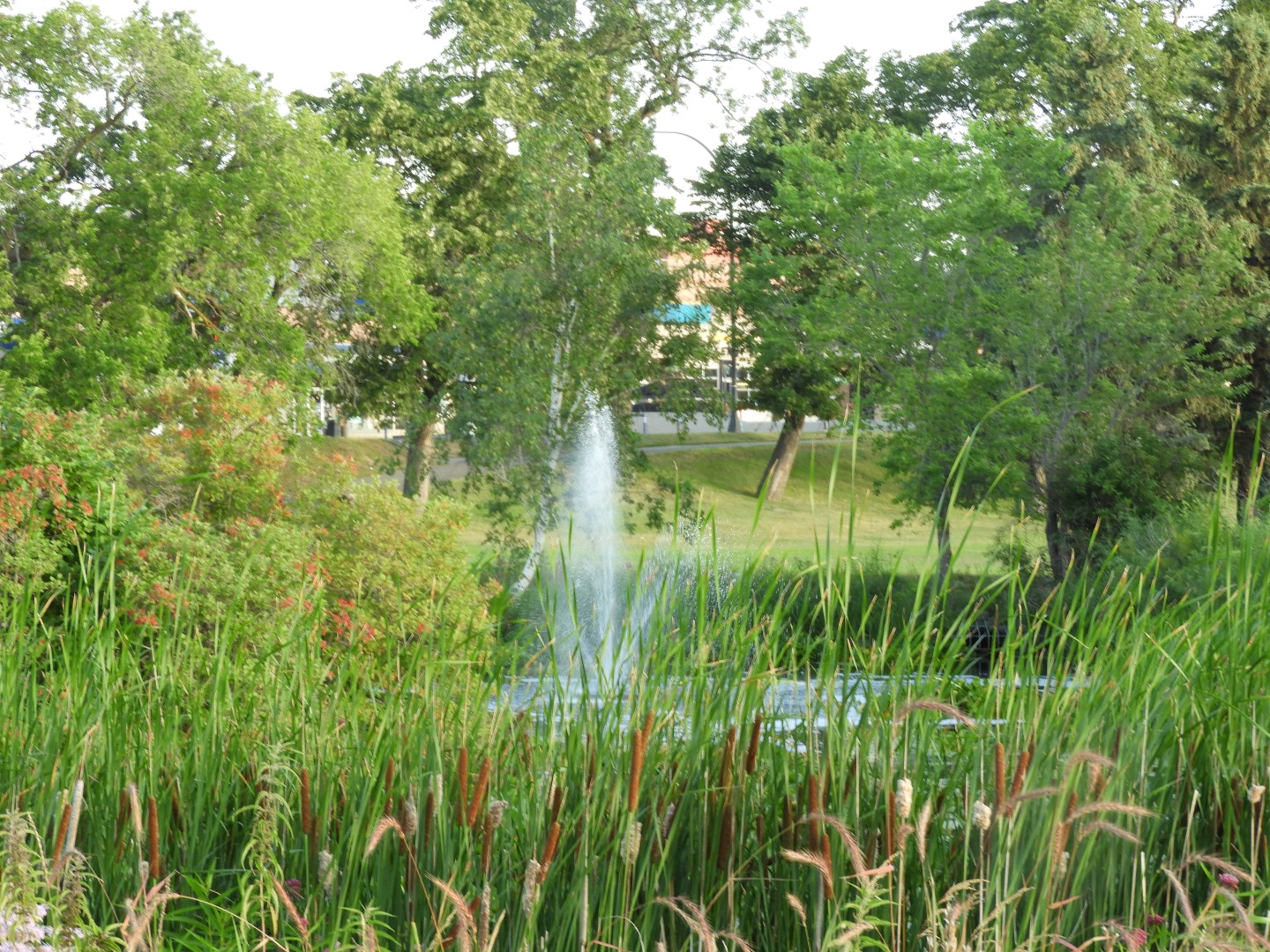 Bemidji MN -- Paul Bunyon Status and Surrounding Park  2 of  5 (#5374)