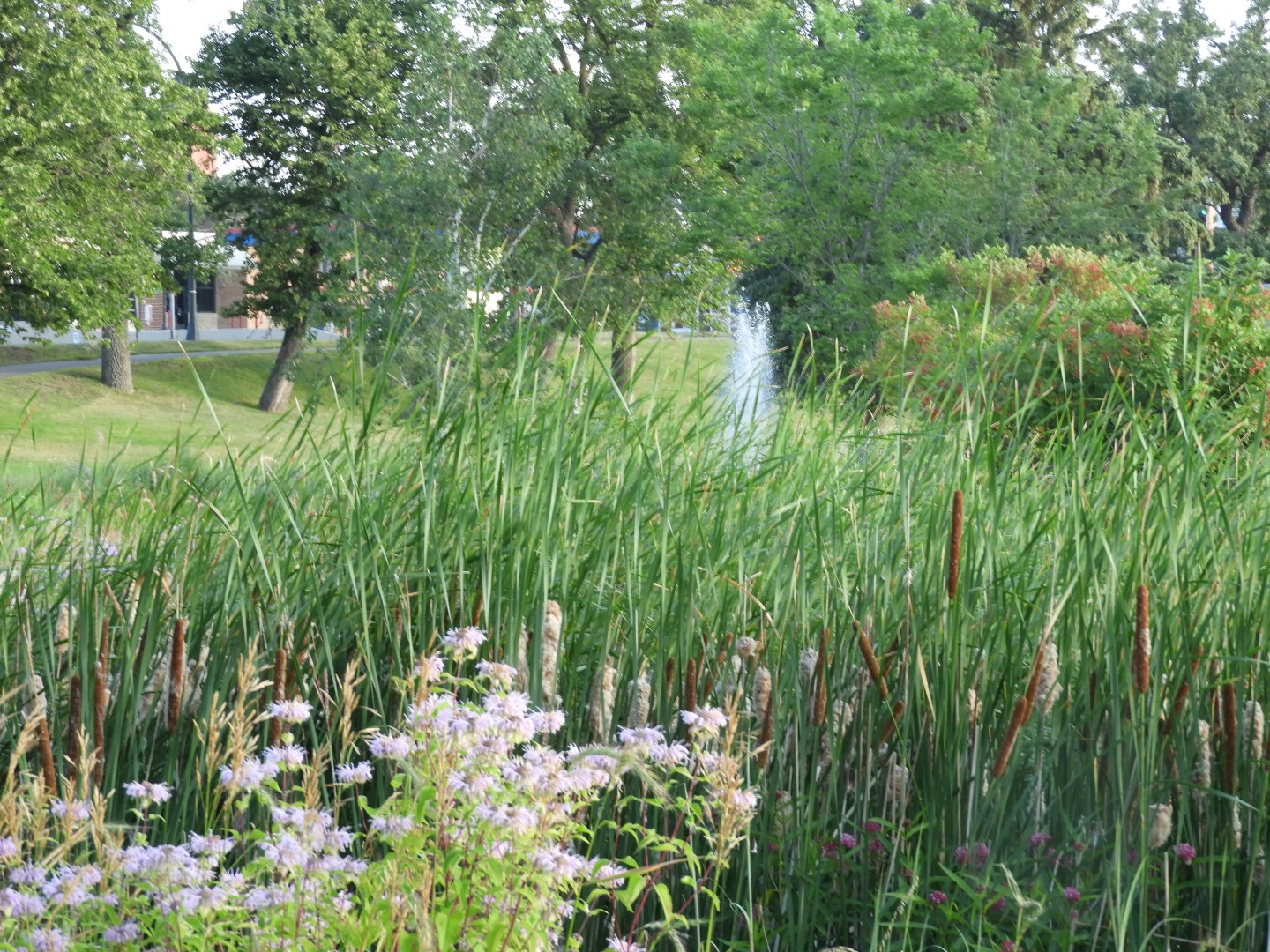 Bemidji MN -- Paul Bunyon Status and Surrounding Park  3 of  5 (#5375)