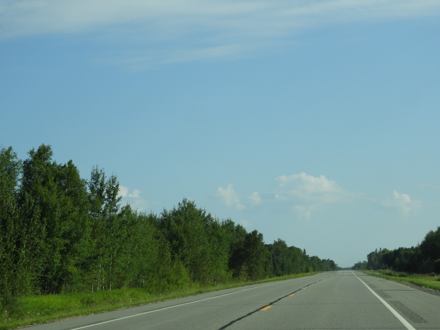 Along Highway leading into International Falls MN  1 of  1 (#5388)