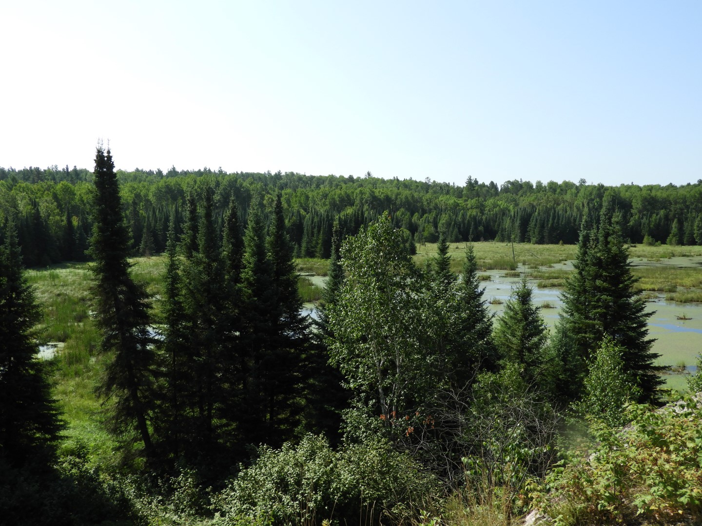 Voyaguer National Park in Northern MN -- Pond  2 of 10 (#5403)