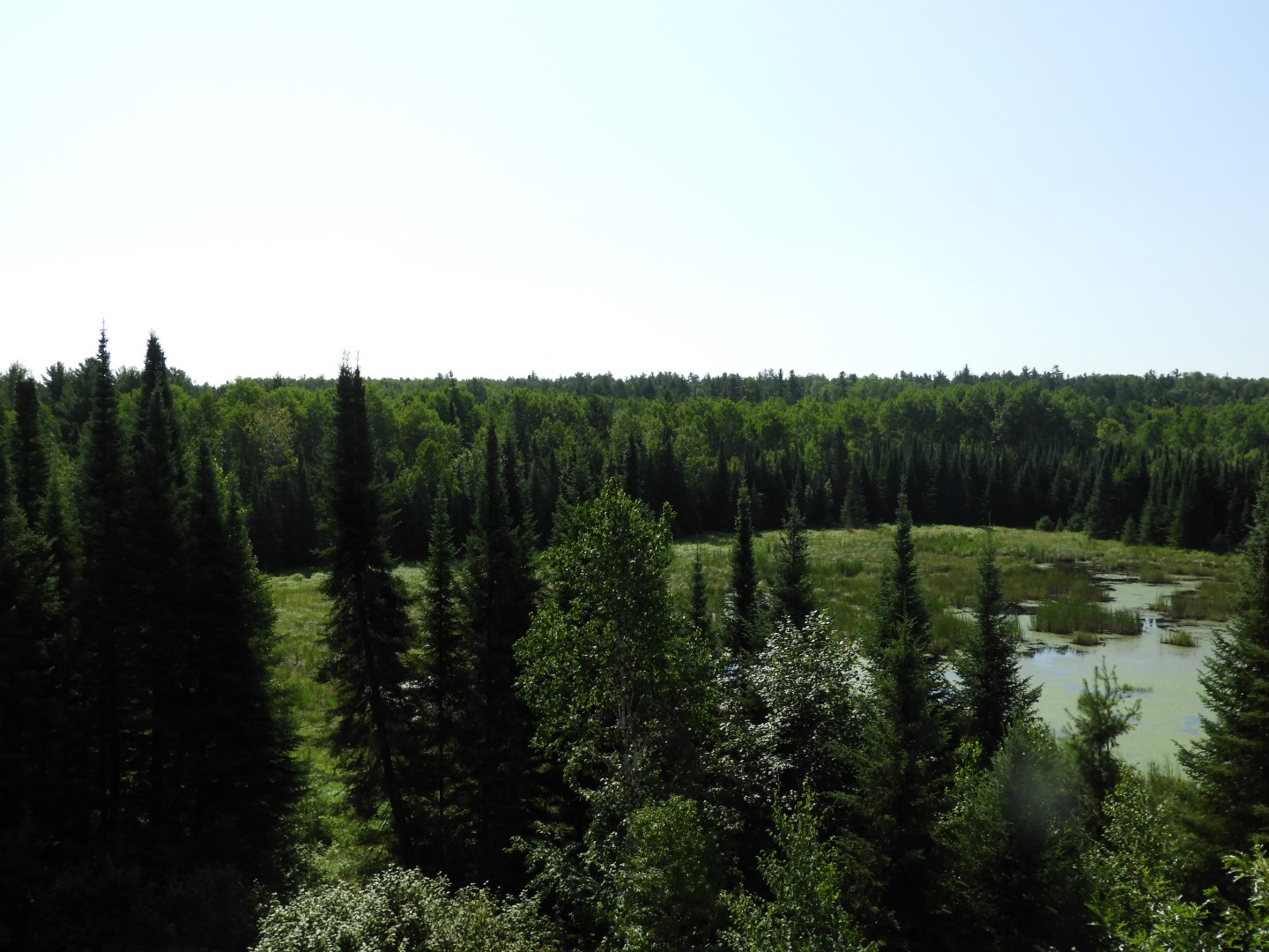 Voyaguer National Park in Northern MN -- Pond  4 of 10 (#5405)