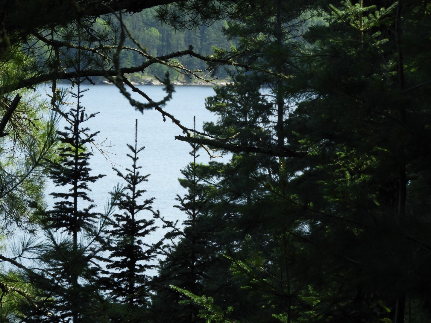 Voyaguer National Park in Northern MN -- Lake  3 of 14 (#5417)