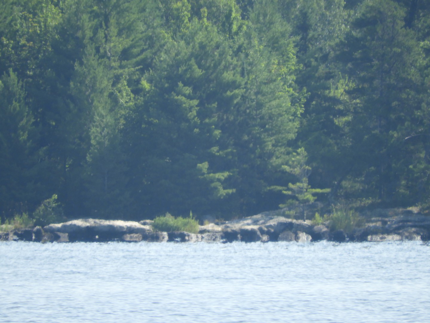 Voyaguer National Park in Northern MN -- Lake 10 of 14 (#5424)
