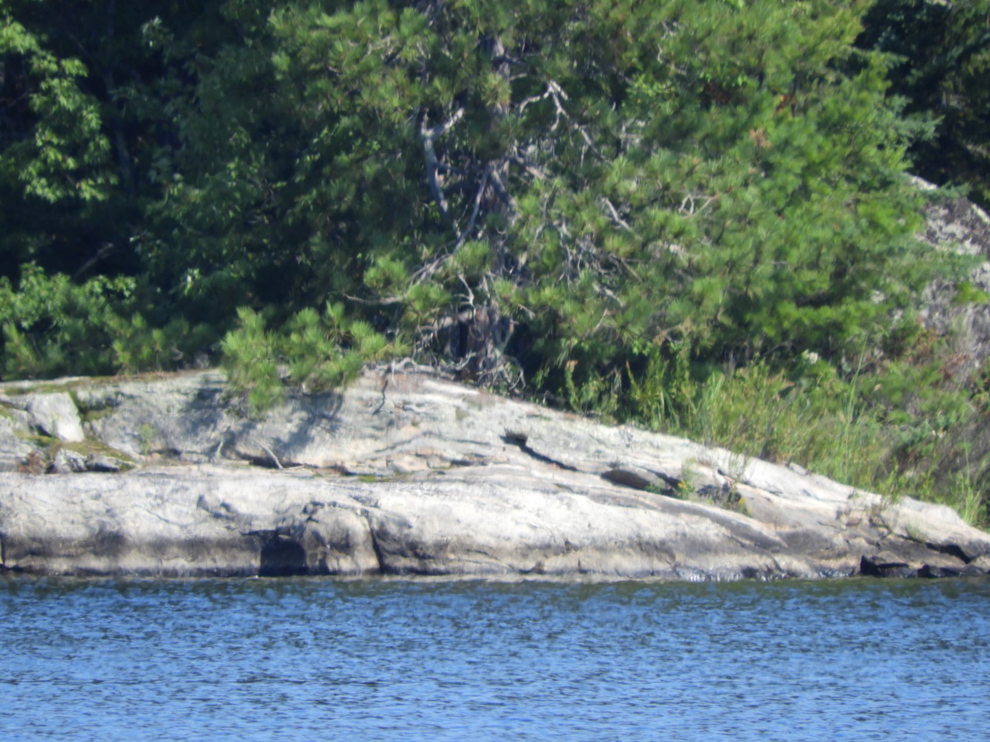 Voyaguer National Park in Northern MN -- Lake 12 of 14 (#5426)