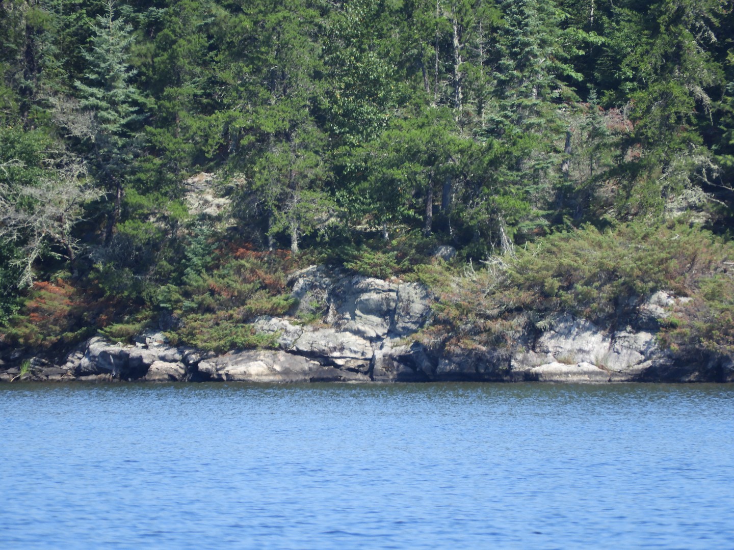 Voyaguer National Park in Northern MN -- Lake 13 of 14 (#5427)