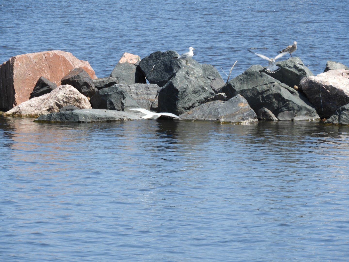 Lake Superior seen from Canal Park in Duluth MN  5 of 28 (#5437)
