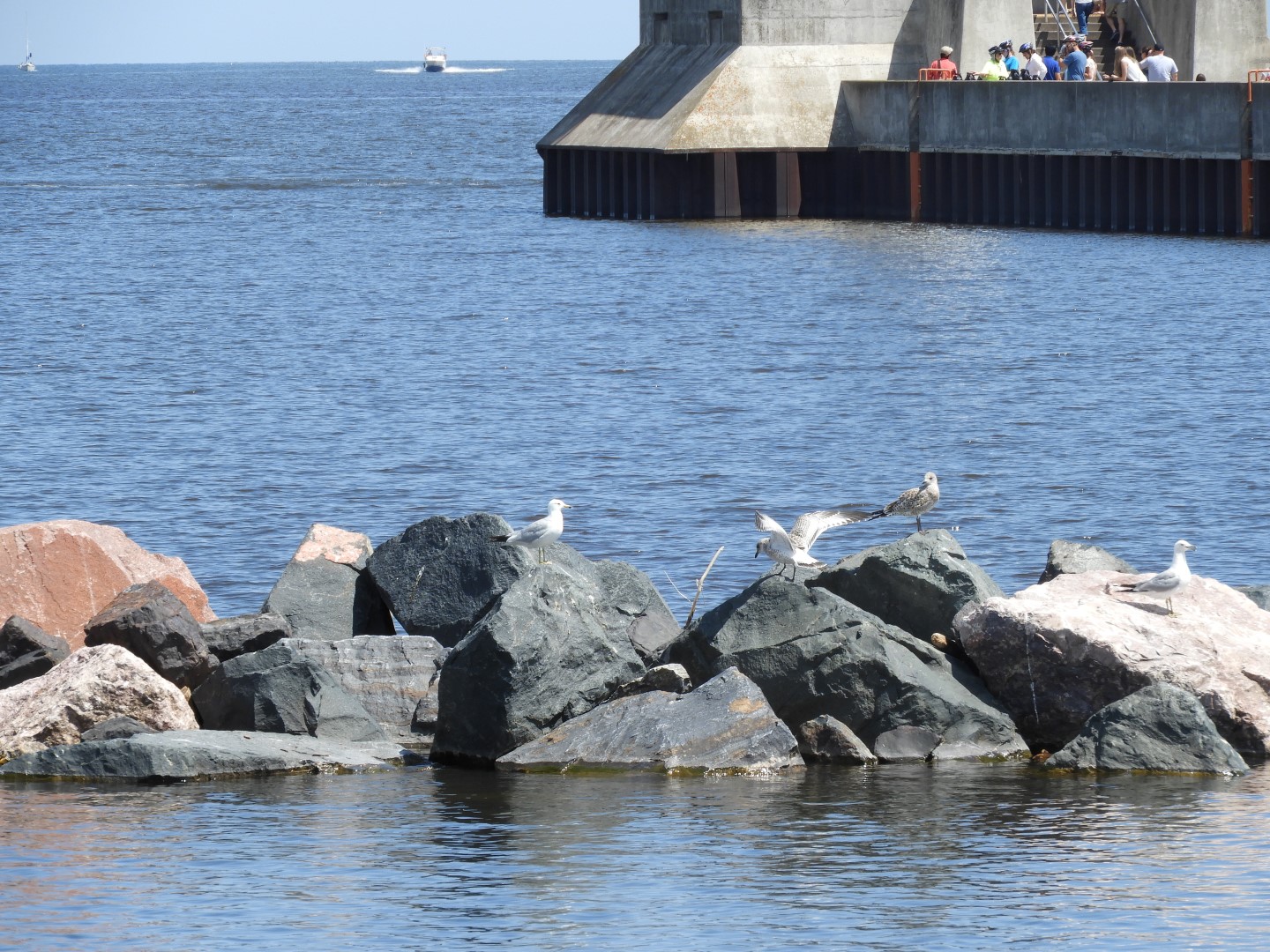 Lake Superior seen from Canal Park in Duluth MN  6 of 28 (#5438)