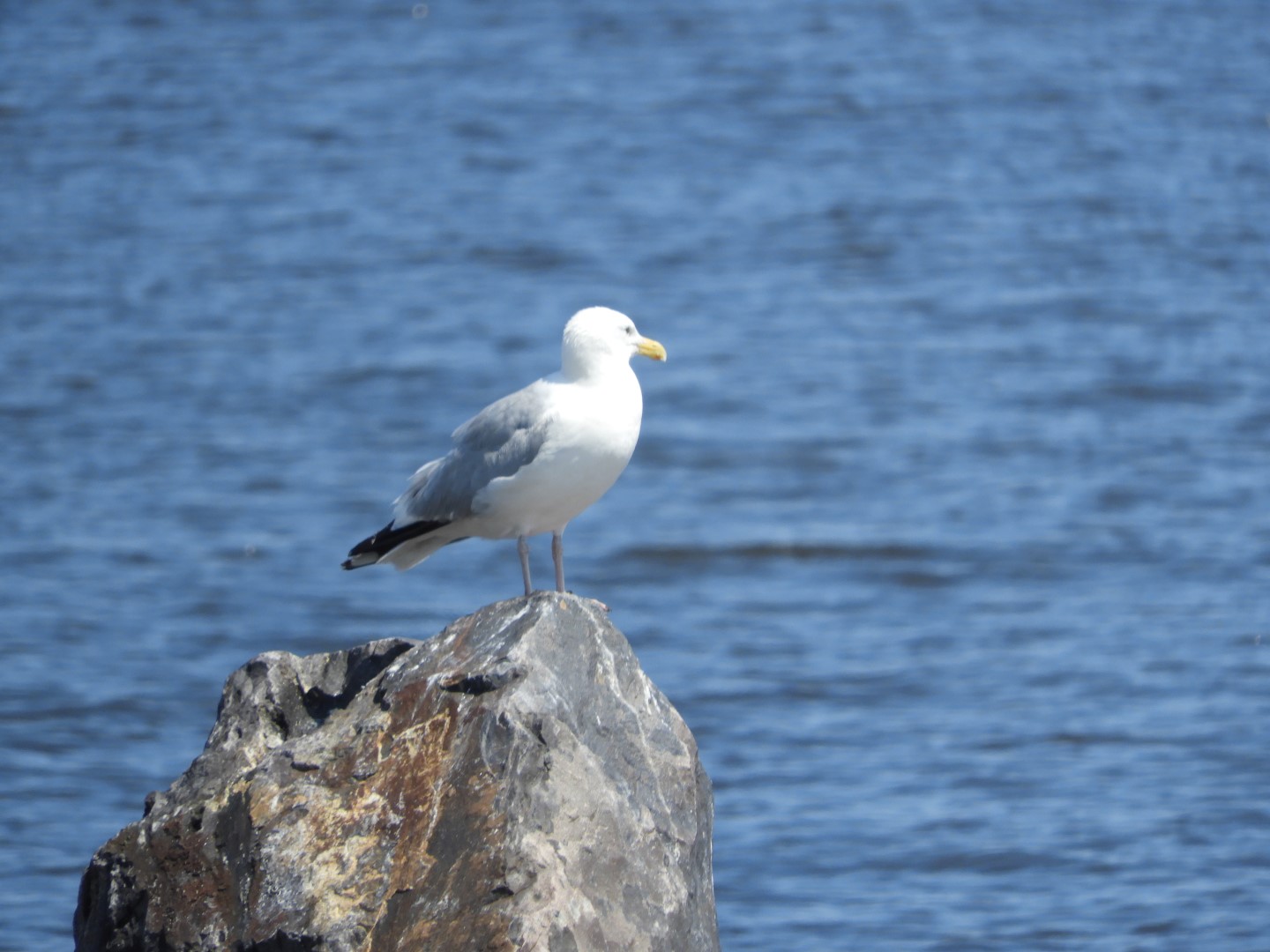 Lake Superior seen from Canal Park in Duluth MN  7 of 28 (#5439)
