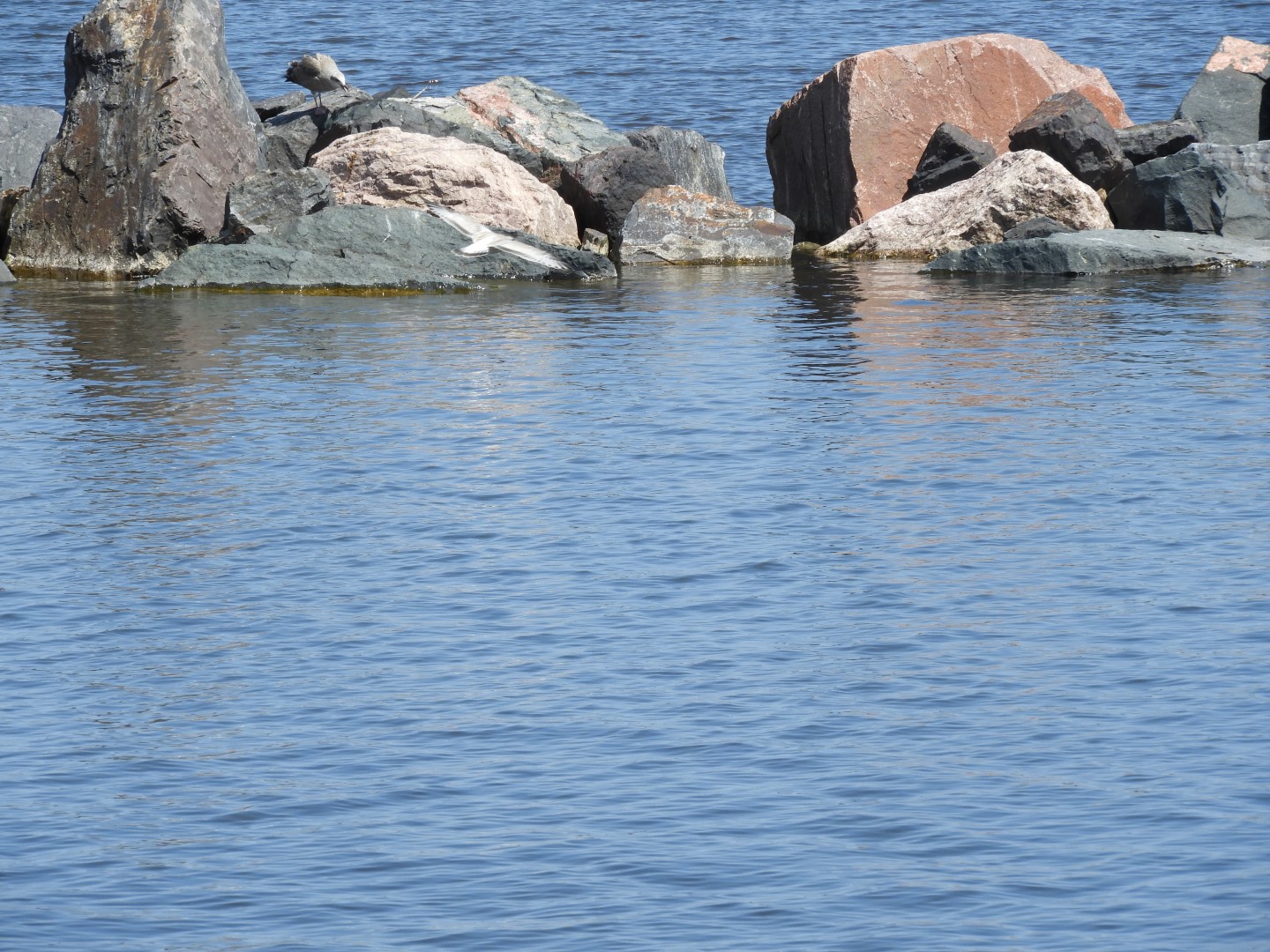Lake Superior seen from Canal Park in Duluth MN 10 of 28 (#5442)