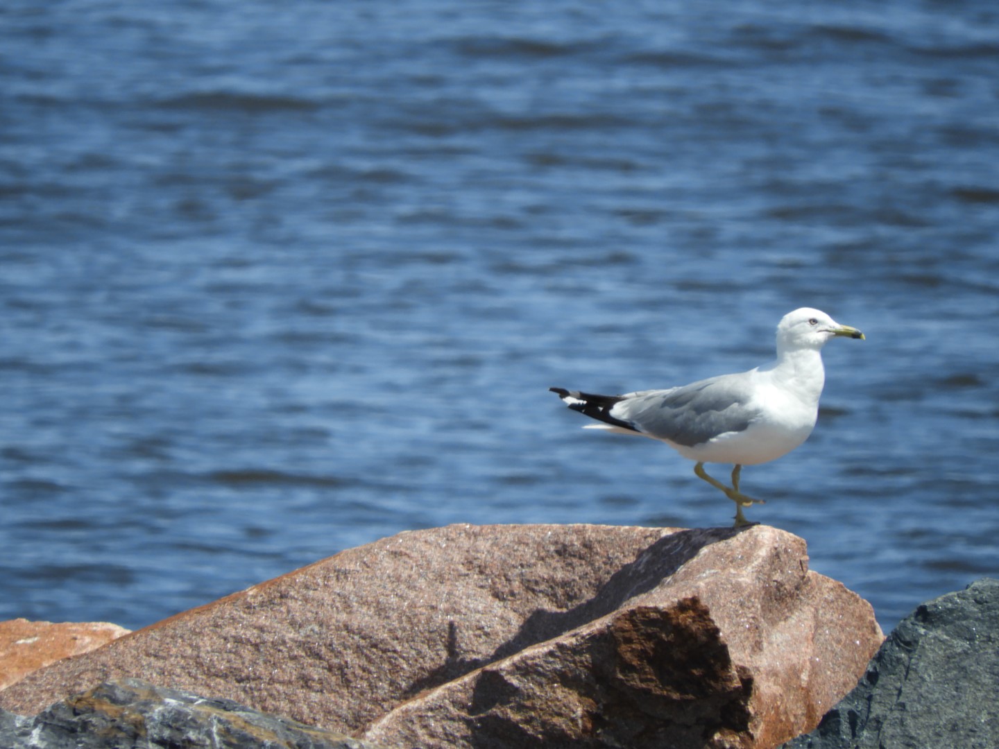 Lake Superior seen from Canal Park in Duluth MN 22 of 28 (#5455)