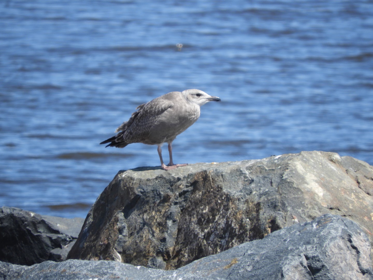 Lake Superior seen from Canal Park in Duluth MN 23 of 28 (#5456)