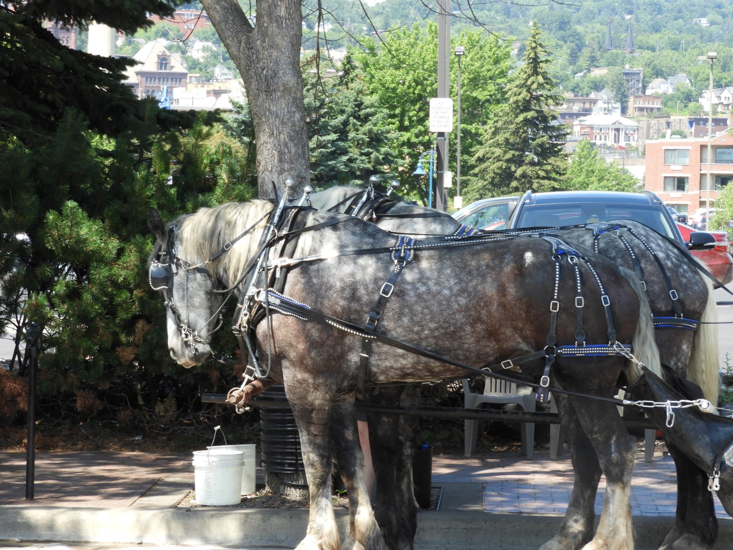 Canal Park in Duluth MN  2 of  3 (#5465)