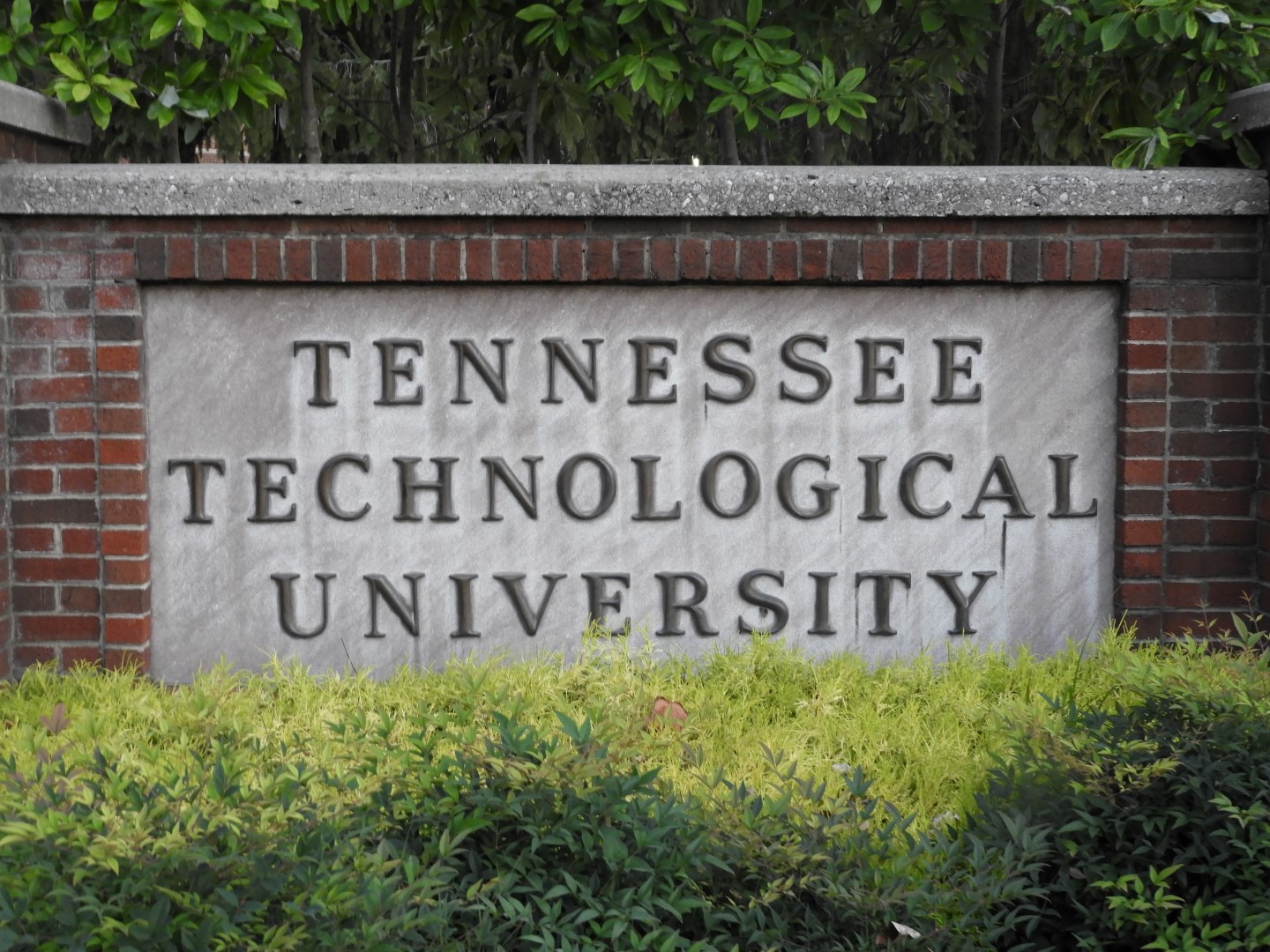 Tennessee Tech University in Cookeville TN  3 of  4 (#5659)