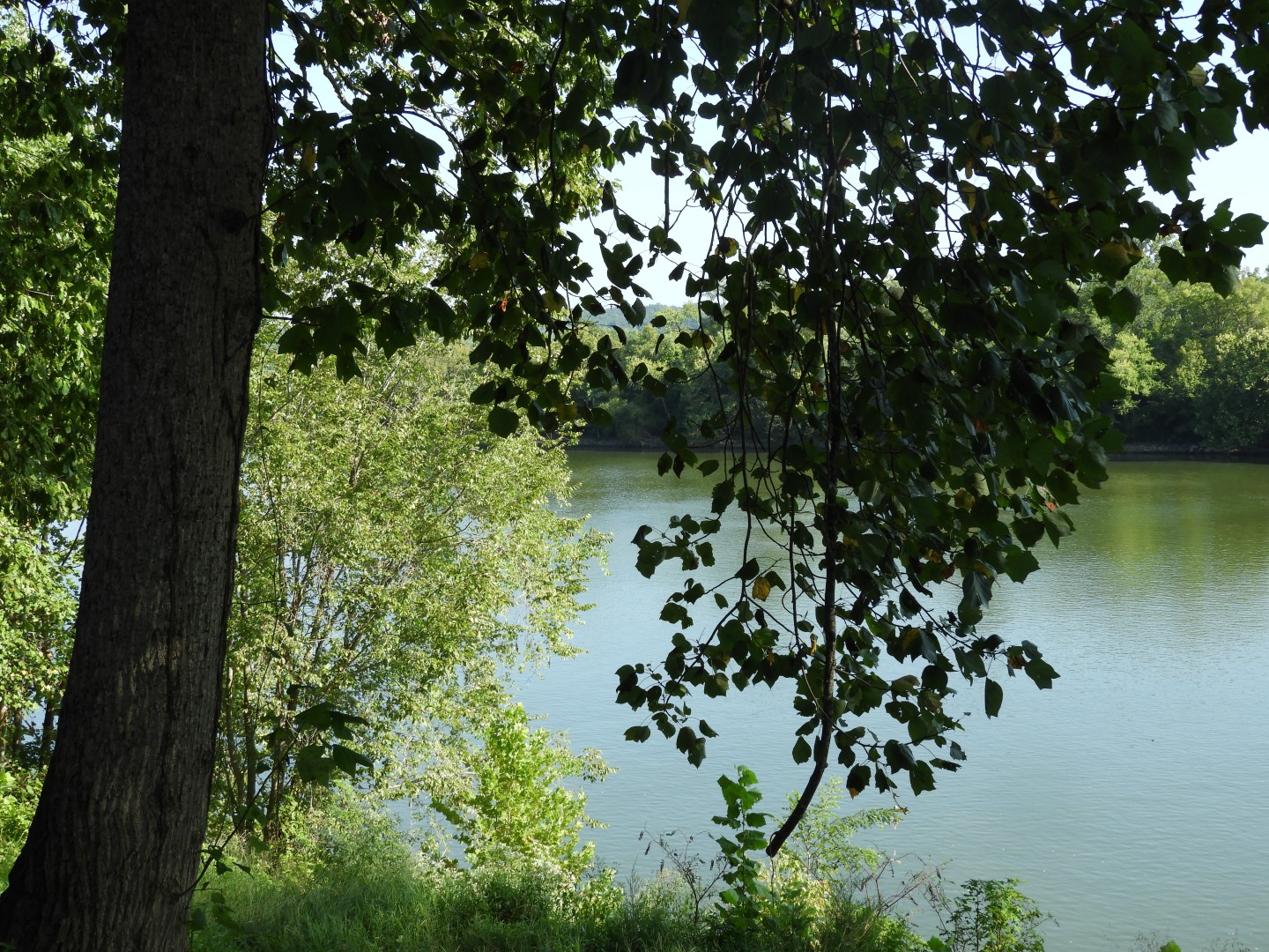 (in August) Ft. Donelson National Battlefield and River near Dover TN  6 of 25 (#5676)