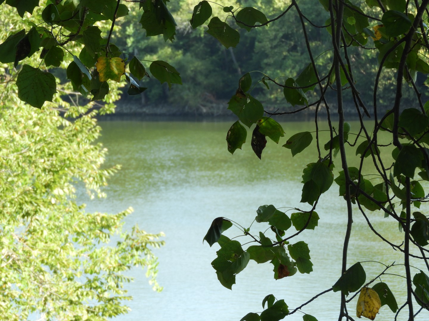 (in August) Ft. Donelson National Battlefield and River near Dover TN  7 of 25 (#5677)