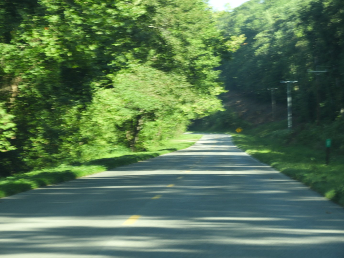 Land Between the Lakes in southwestern Kentucky  3 of  4 (#5698)