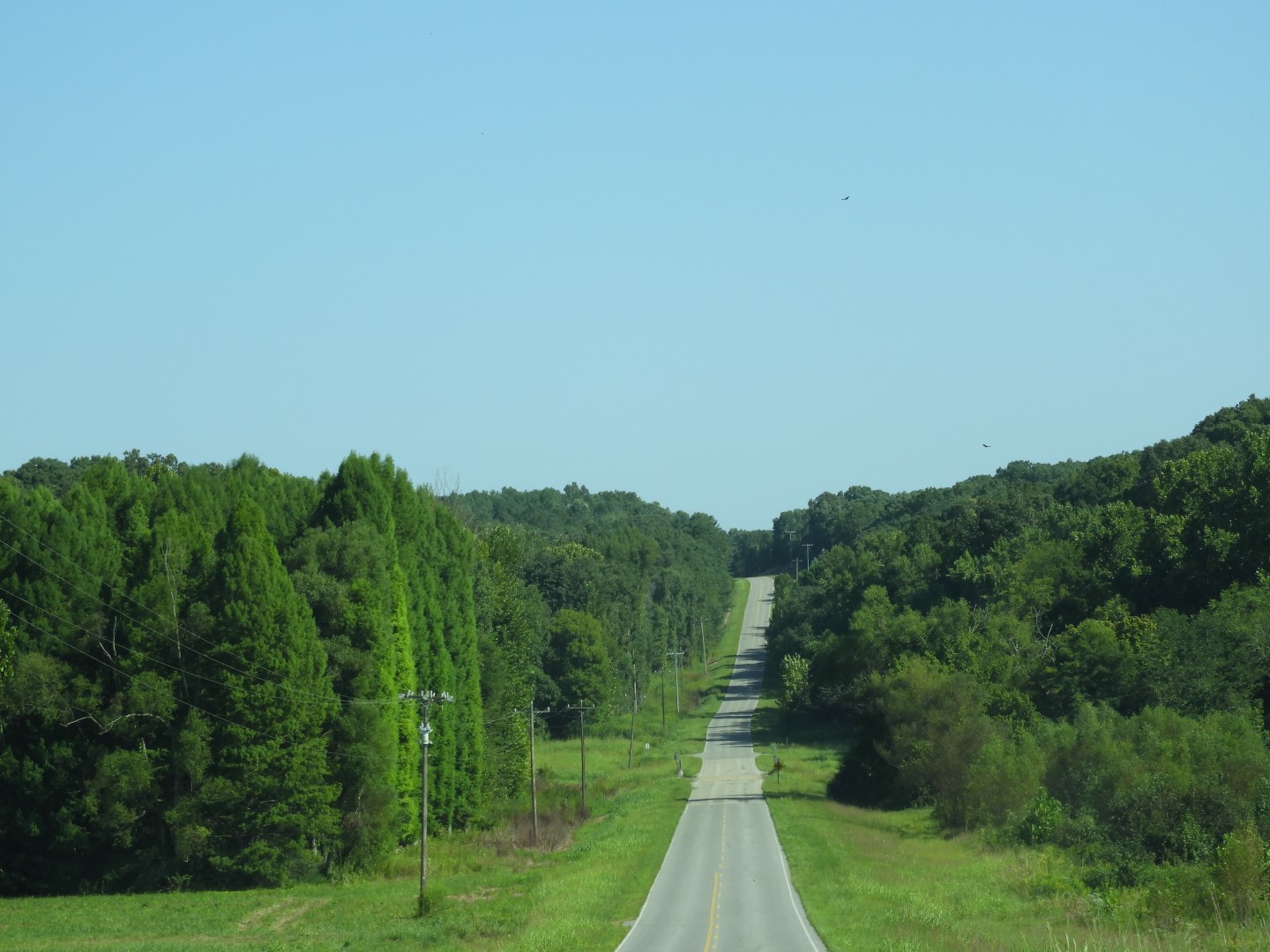 Land Between the Lakes in southwestern Kentucky  4 of  4 (#5699)