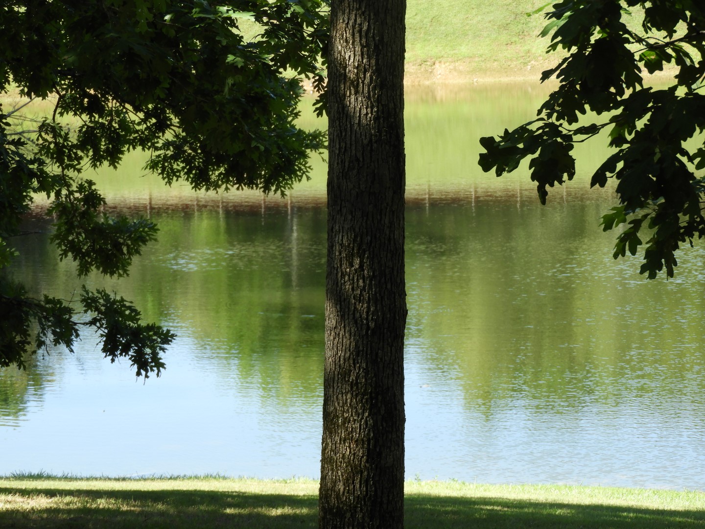 Land Between the Lakes in southwestern Kentucky -- Golden Pond  4 of 11 (#5716)