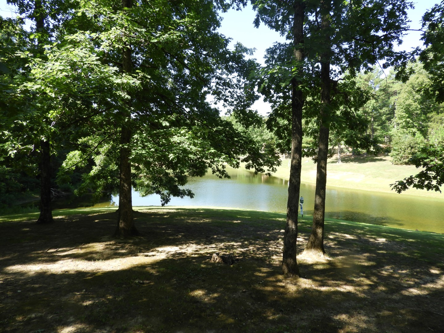 Land Between the Lakes in southwestern Kentucky -- Golden Pond  7 of 11 (#5719)