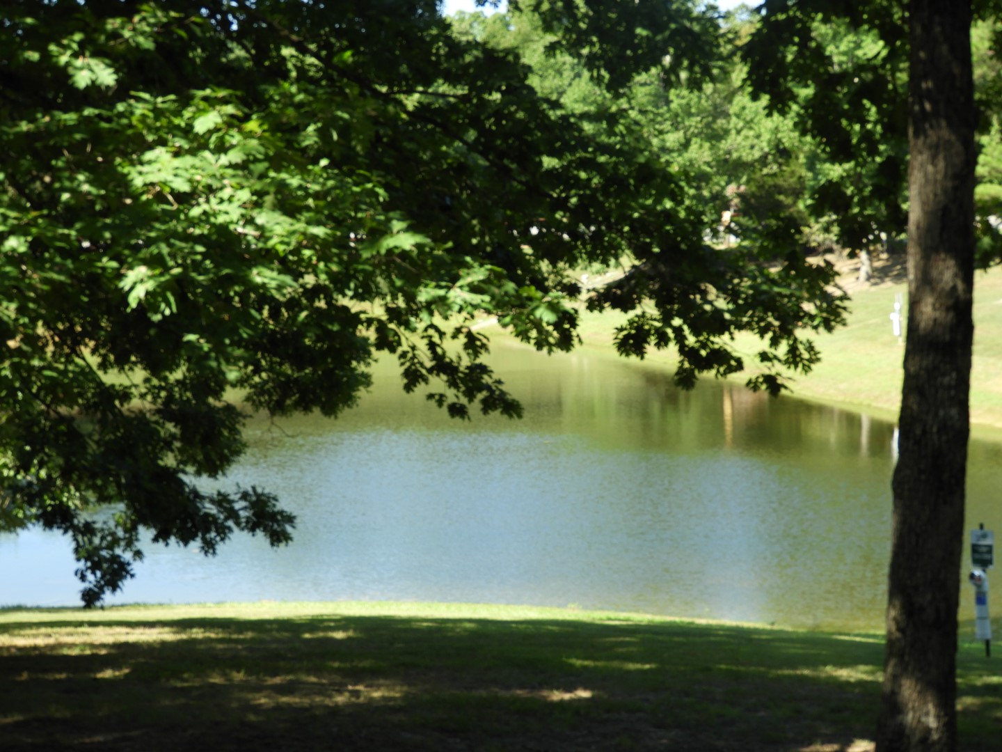 Land Between the Lakes in southwestern Kentucky -- Golden Pond  8 of 11 (#5720)