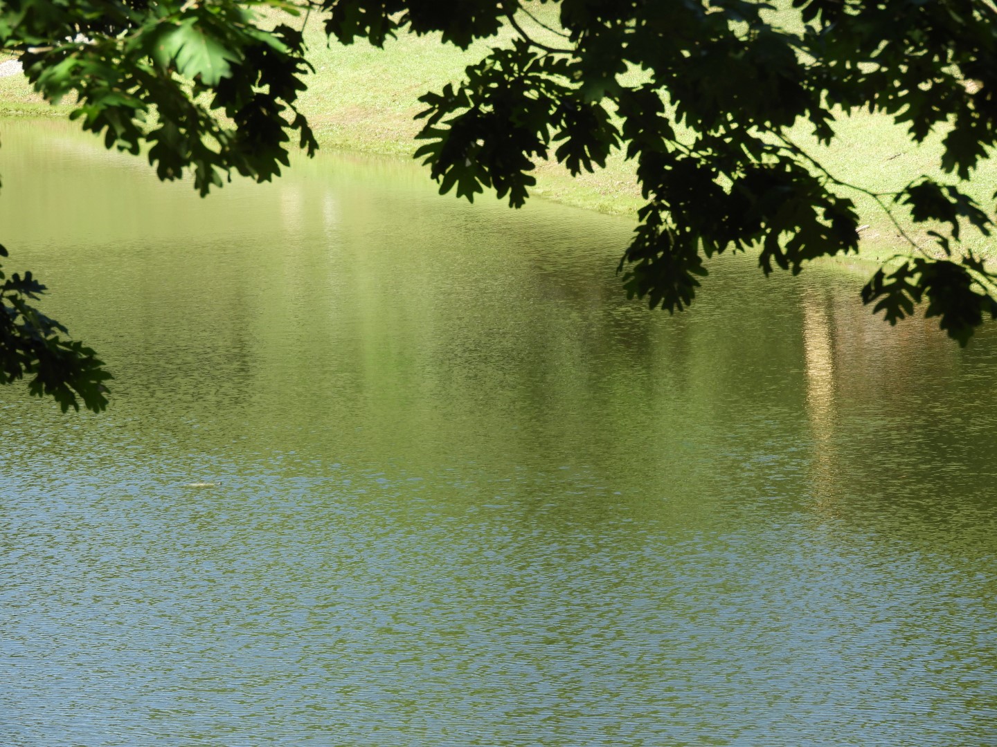 Land Between the Lakes in southwestern Kentucky -- Golden Pond  9 of 11 (#5721)