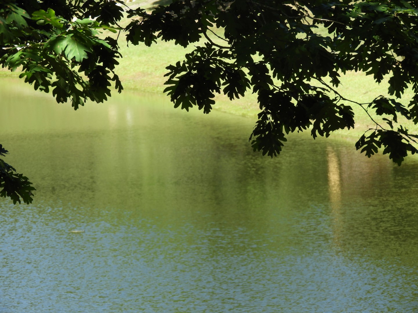 Land Between the Lakes in southwestern Kentucky -- Golden Pond 10 of 11 (#5722)