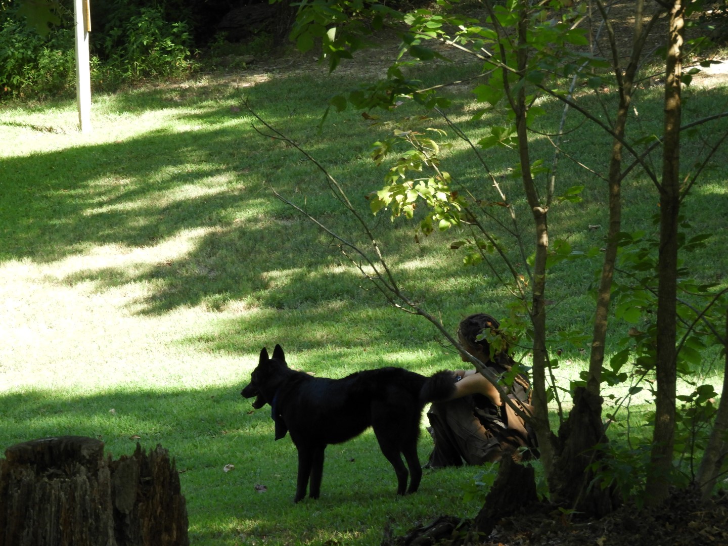 Land Between the Lakes in southwestern Kentucky -- Golden Pond 11 of 11 (#5723)