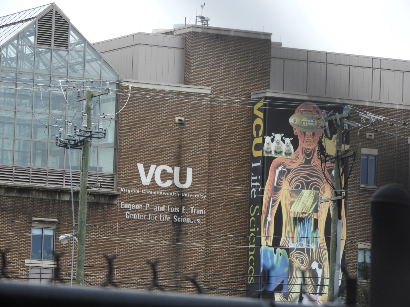 Virginia Commonwealth University in Richmond VA  1 of  5 (#5766)