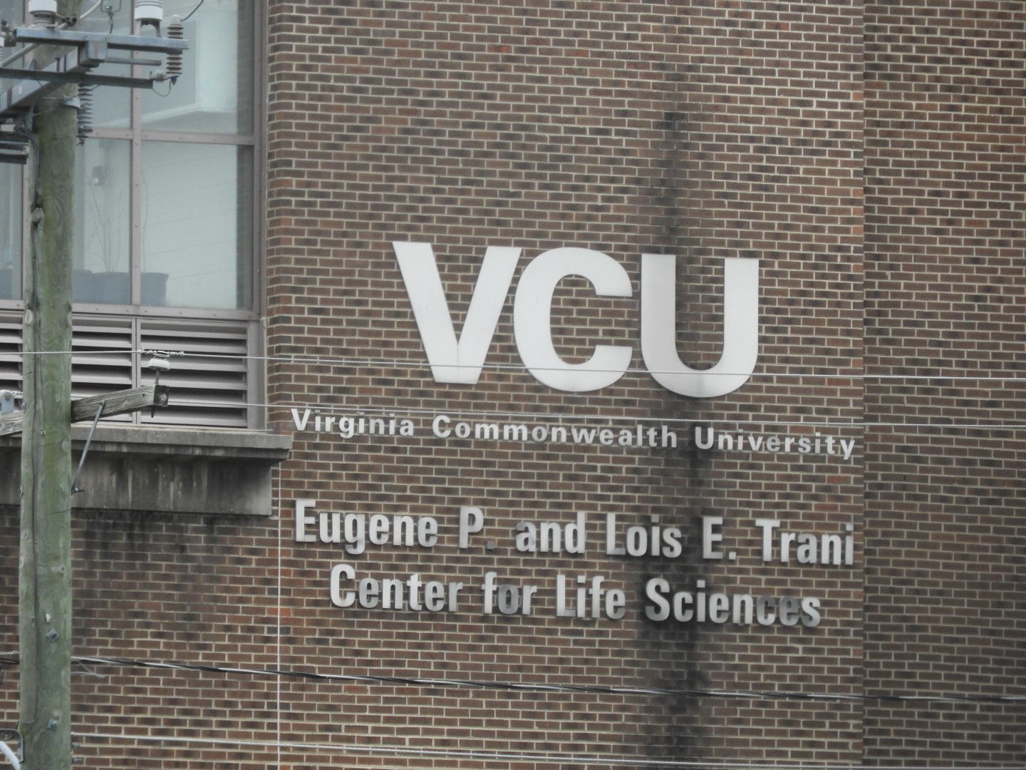 Virginia Commonwealth University in Richmond VA  2 of  5 (#5767)