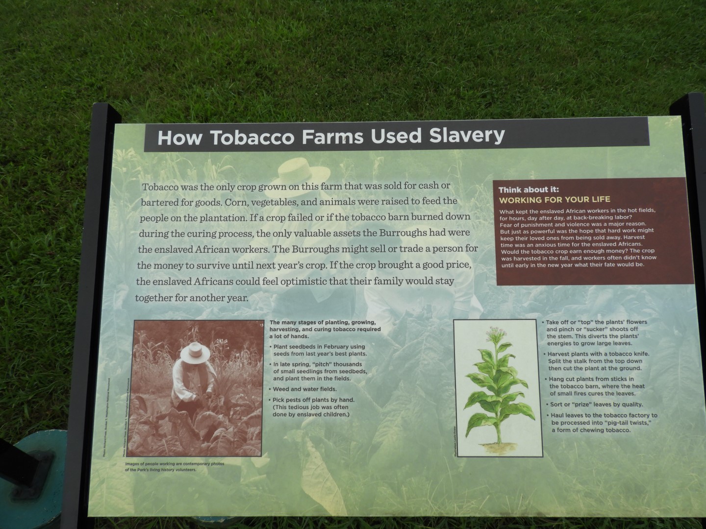 Booker T Washington National Monument in VA 10 of 19 (#5831)