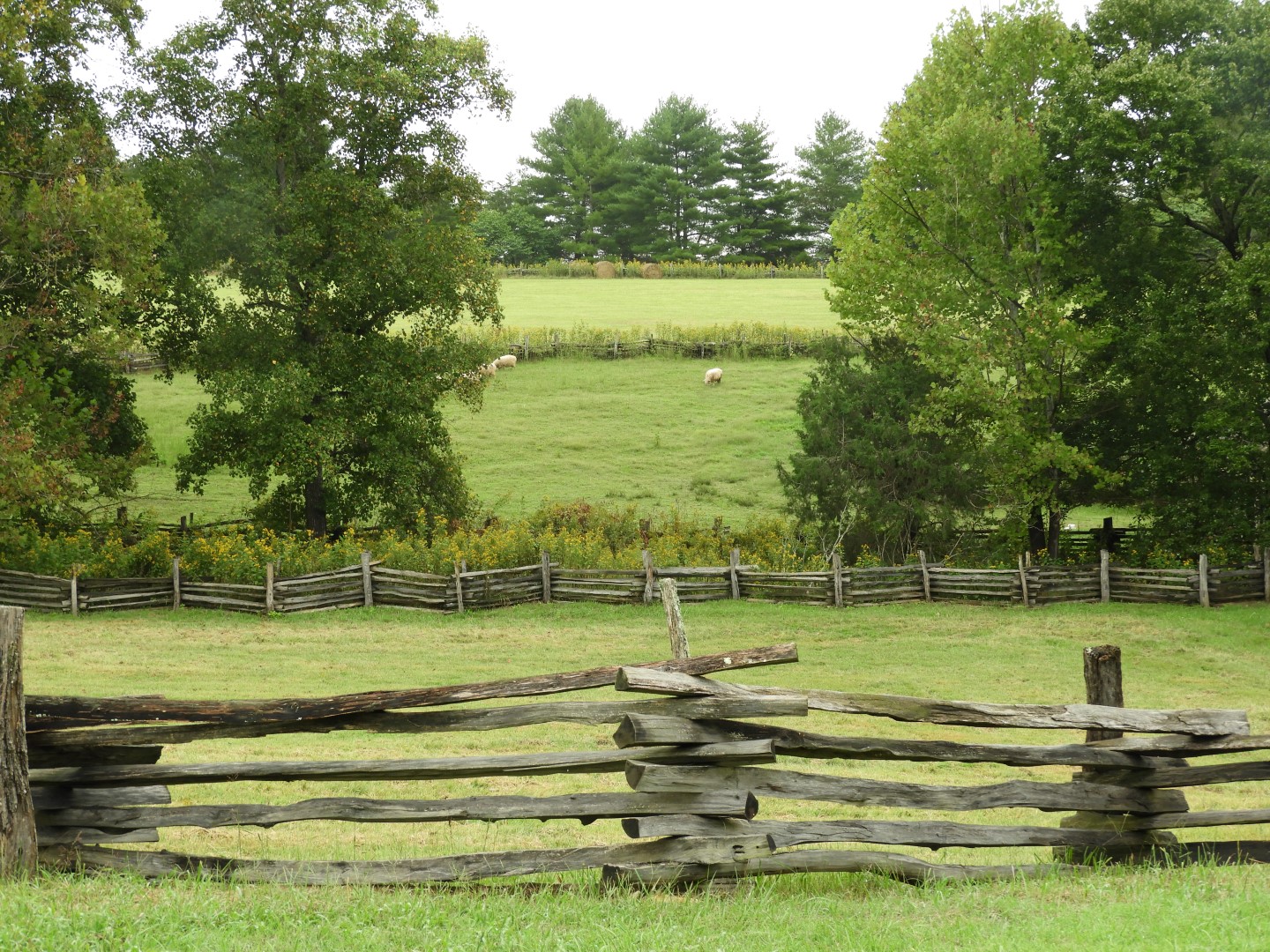 Booker T Washington National Monument in VA 12 of 19 (#5833)
