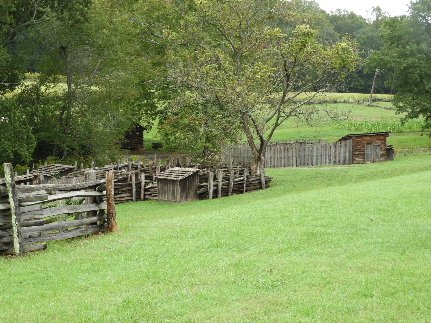 Booker T Washington National Monument in VA 14 of 19 (#5836)