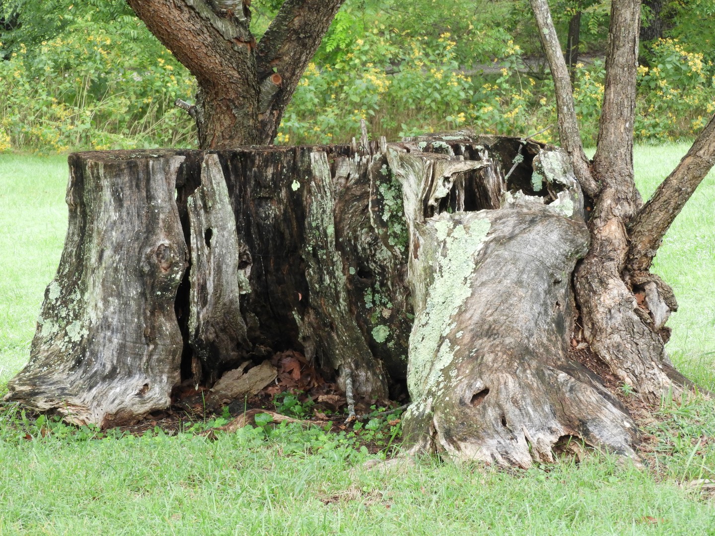 Booker T Washington National Monument in VA 16 of 19 (#5838)