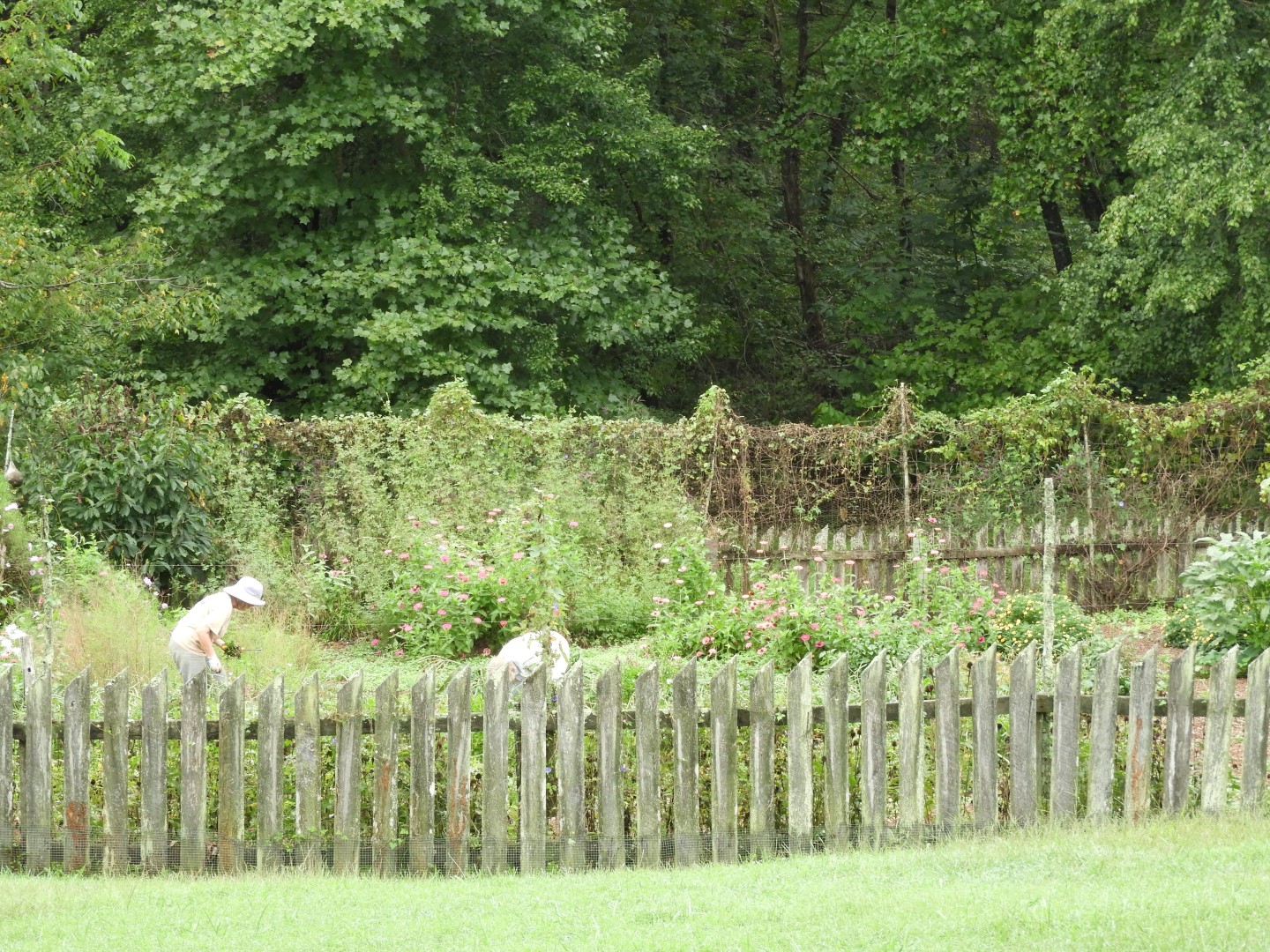 Booker T Washington National Monument in VA 17 of 19 (#5839)