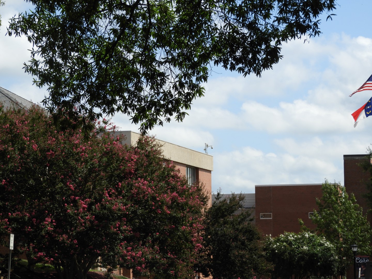 North Carolina Central University in Durham NC  5 of  5 (#5852)