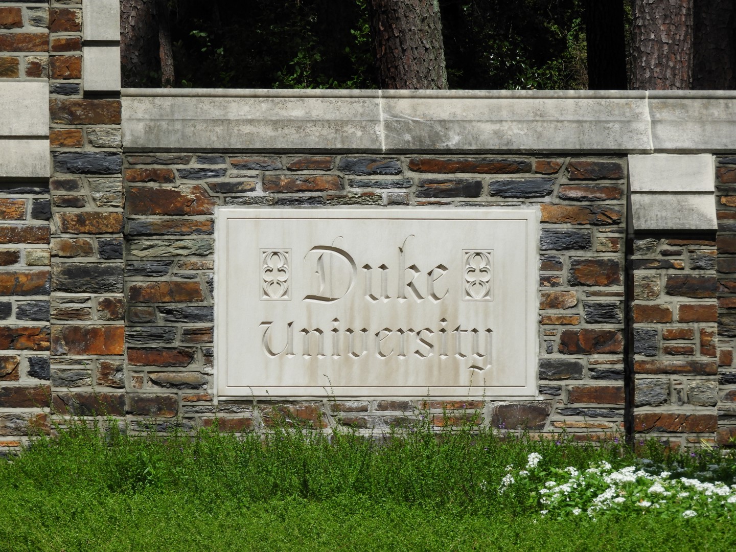 Duke University in Durham NC  1 of  3 (#5854)