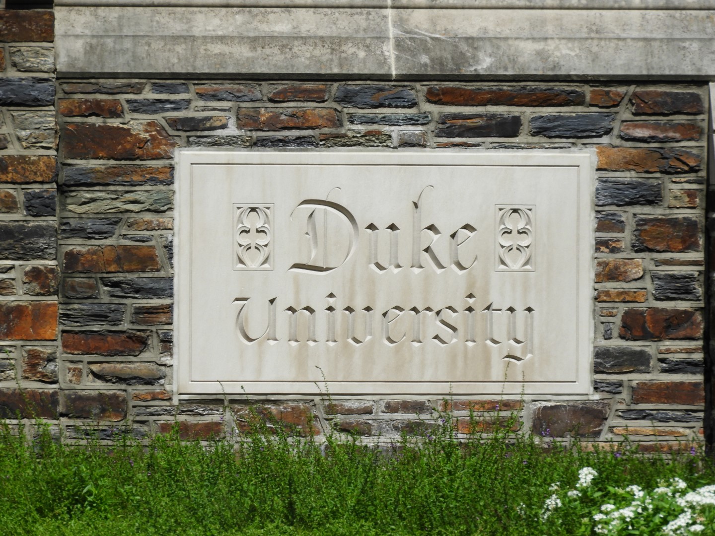 Duke University in Durham NC  2 of  3 (#5855)