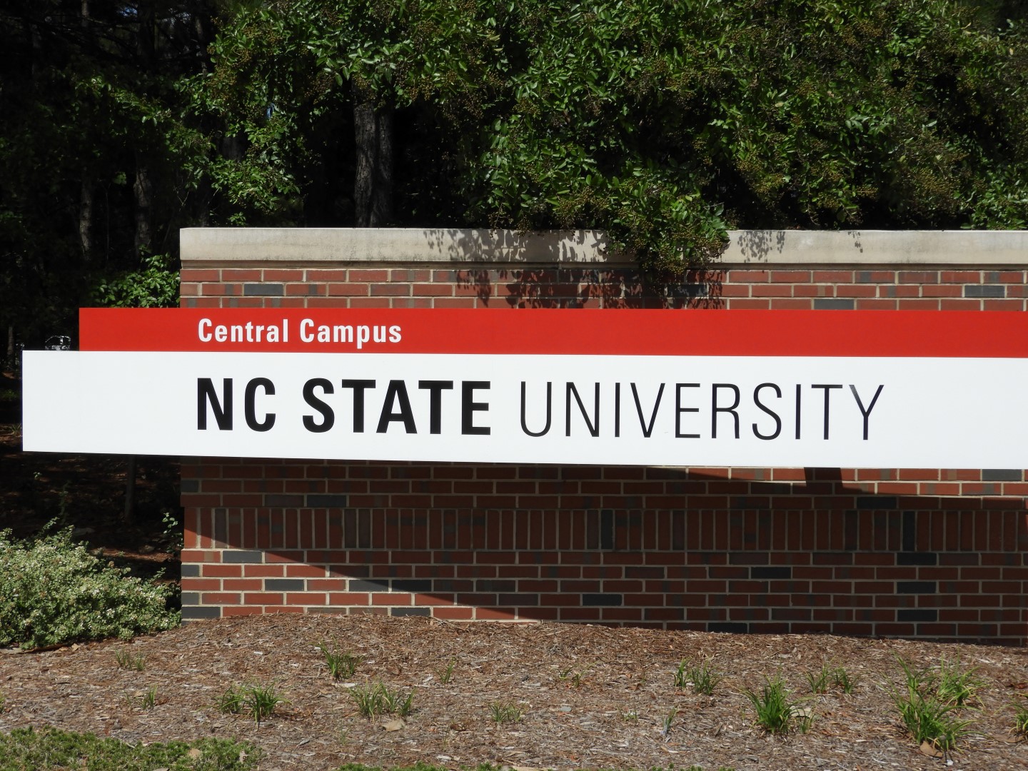 North Carolina State University in Raleigh NC  1 of  3 (#5858)