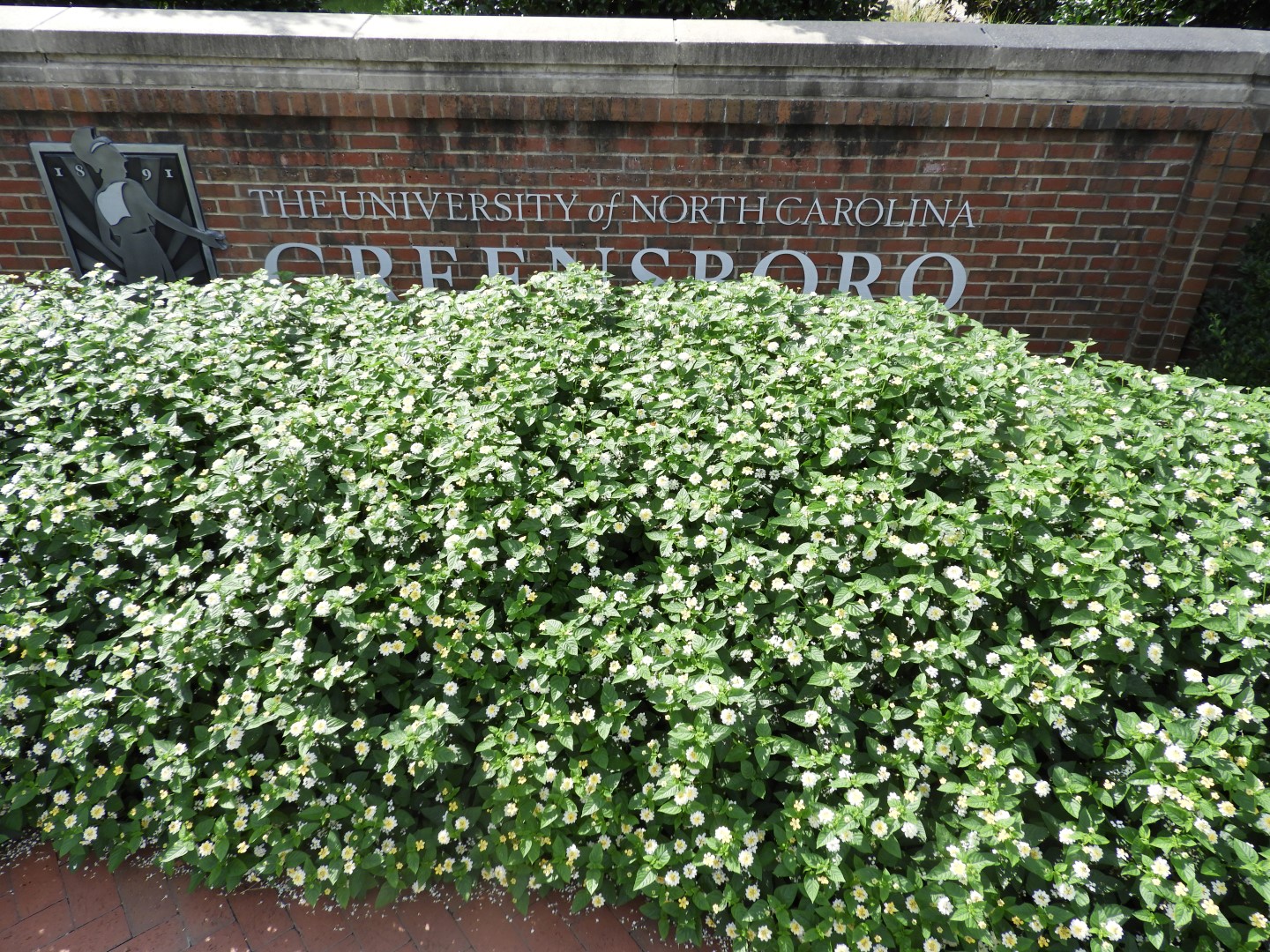 UNC-Greensboro in Greensboro NC  3 of  5 (#5866)