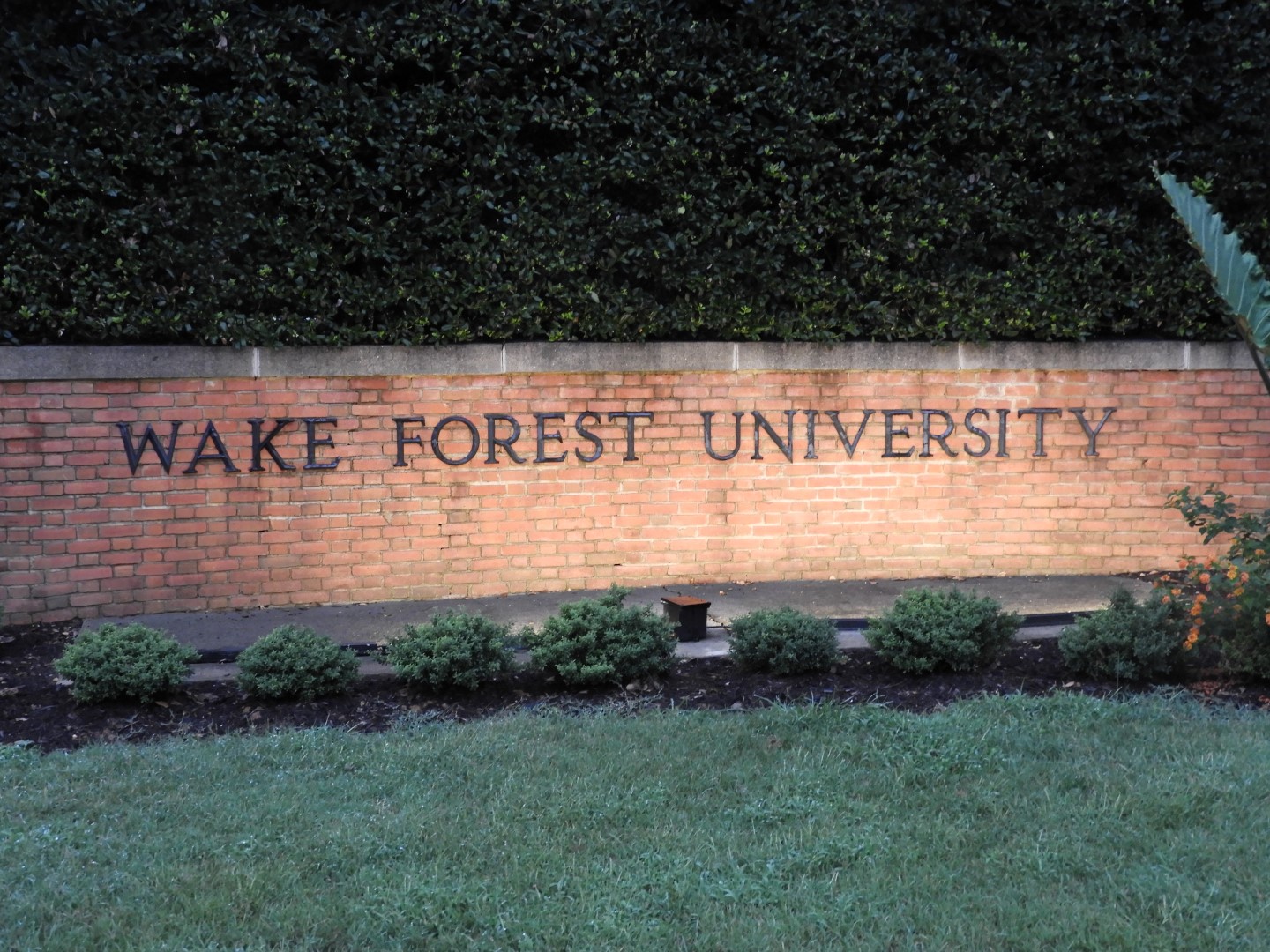 Wake Forest University in Winston-Salem NC  1 of  8 (#5883)