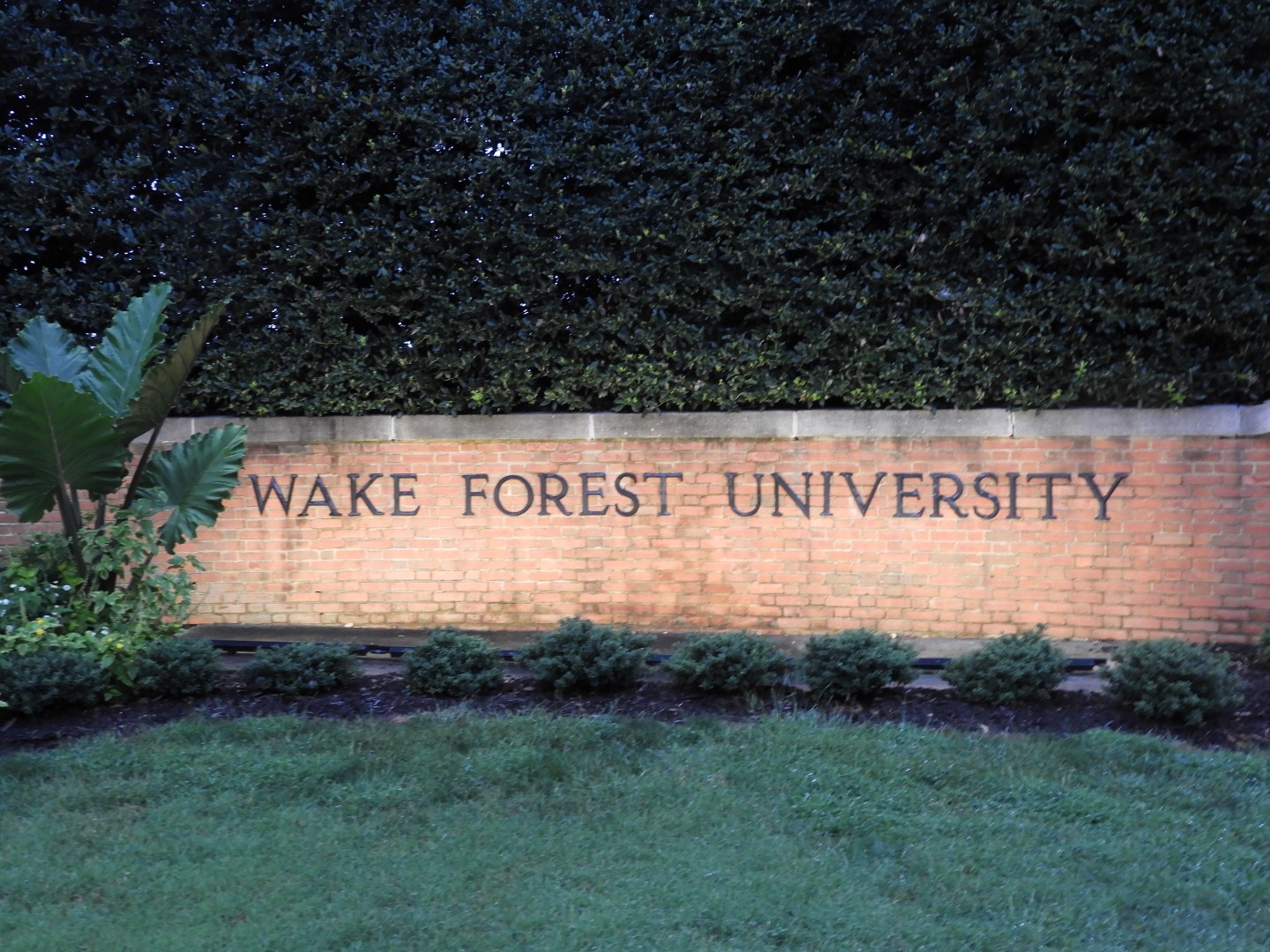 Wake Forest University in Winston-Salem NC  2 of  8 (#5884)