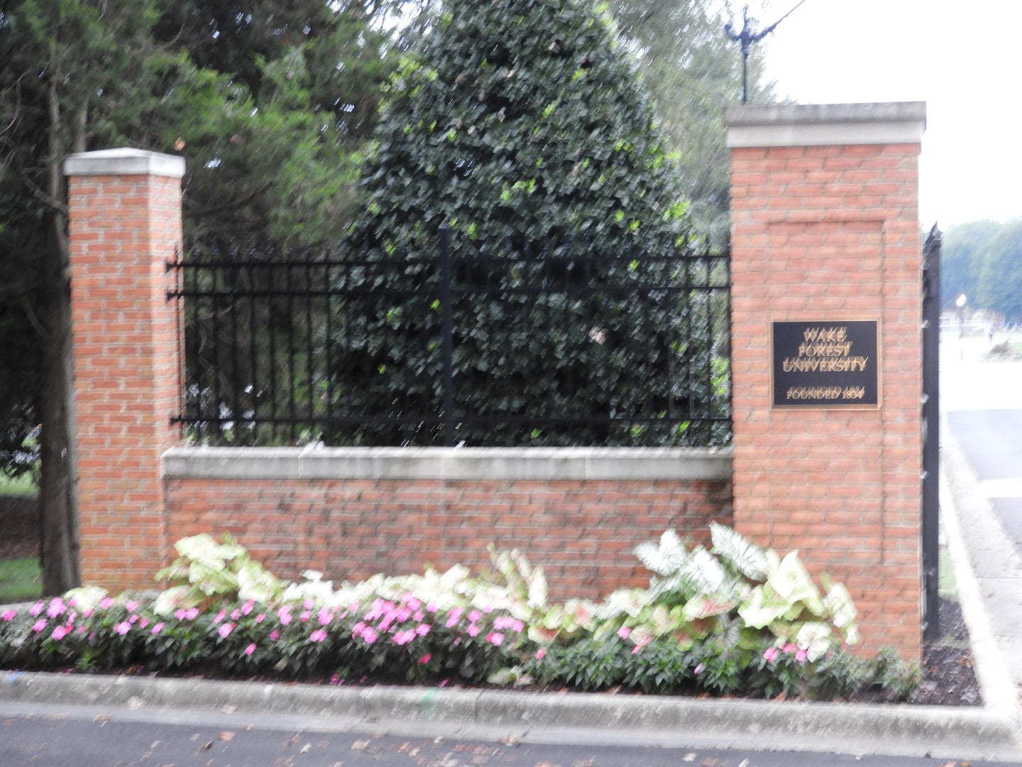 Wake Forest University in Winston-Salem NC  6 of  8 (#5888)