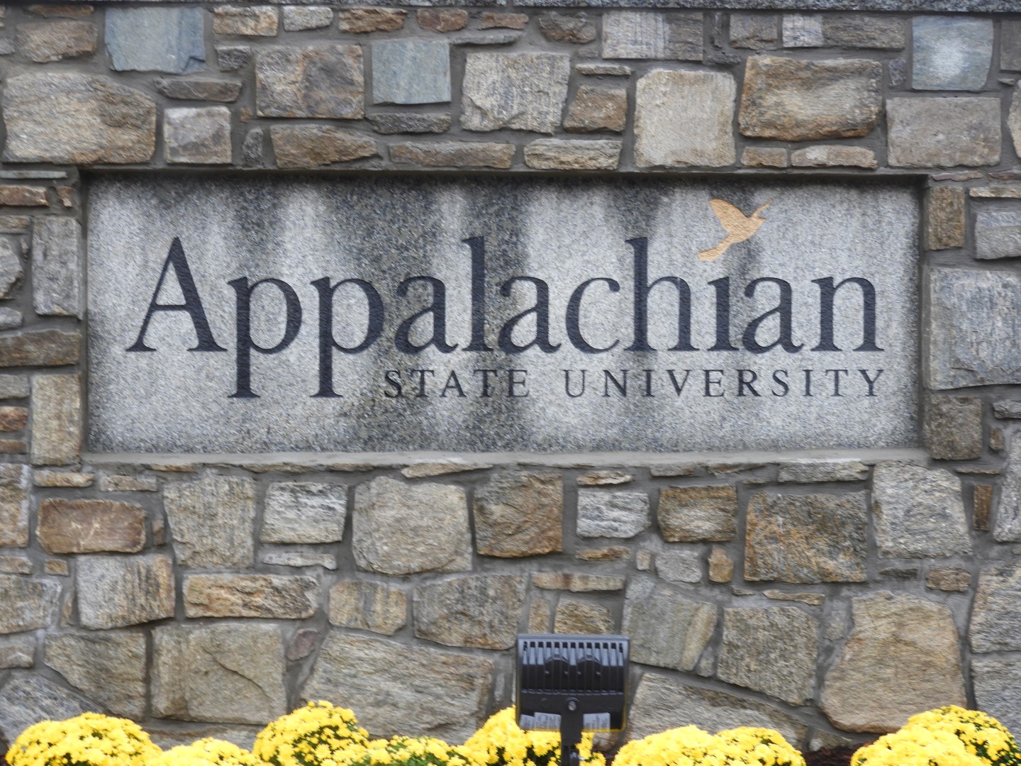 Appalachian State University in Boone NC  1 of  3 (#5891)