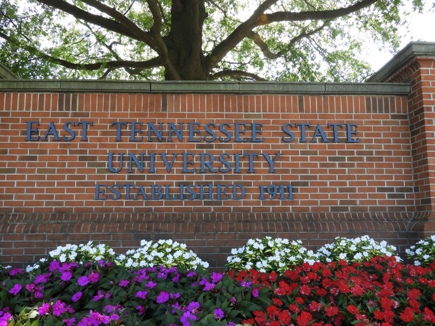 East Tennessee State University in Johnson City TN  3 of  4 (#5900)